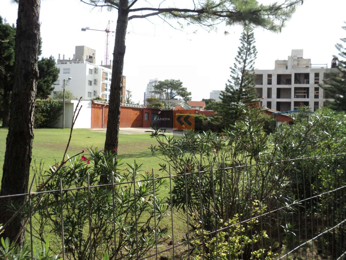 Aidy Grill - GoPunta - Portal Inmobiliario de Punta del Este - Maldonado