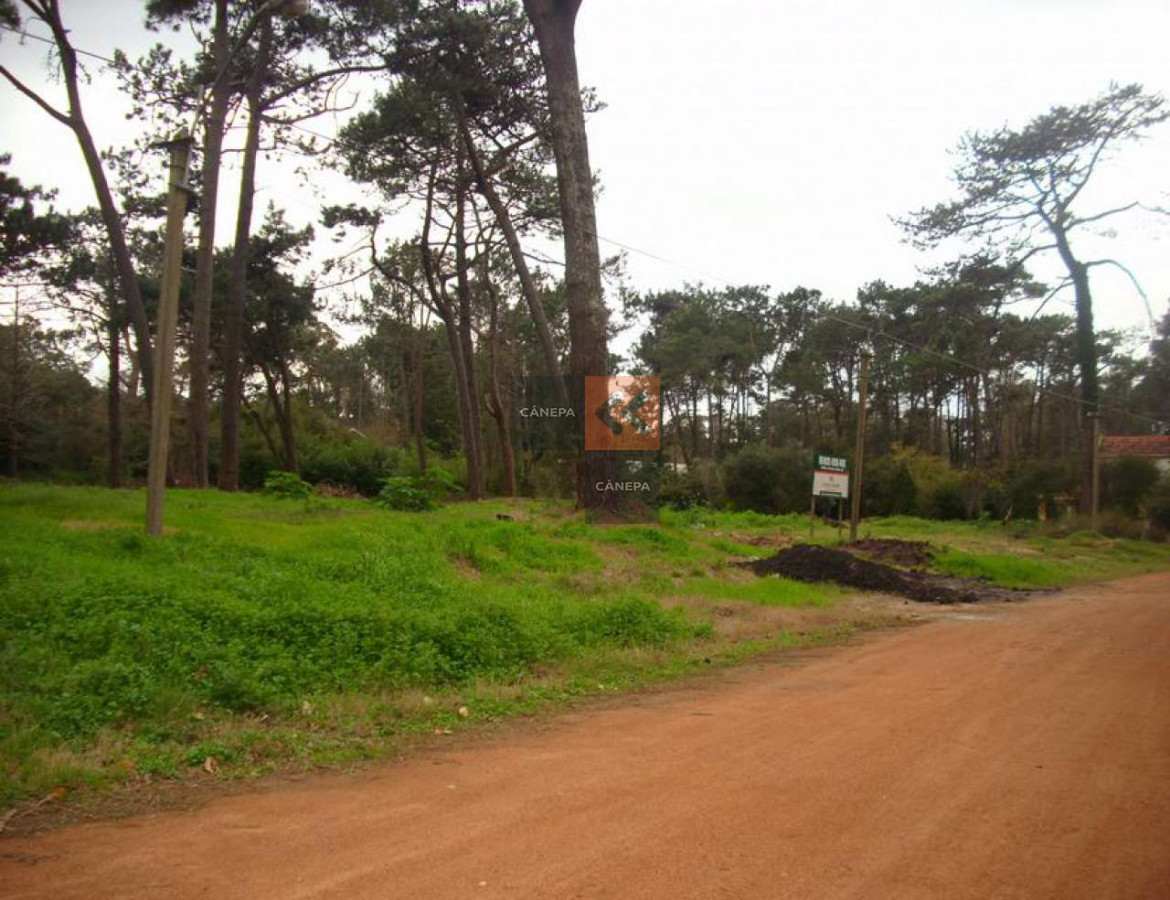Golf - GoPunta - Portal Inmobiliario de Punta del Este - Maldonado