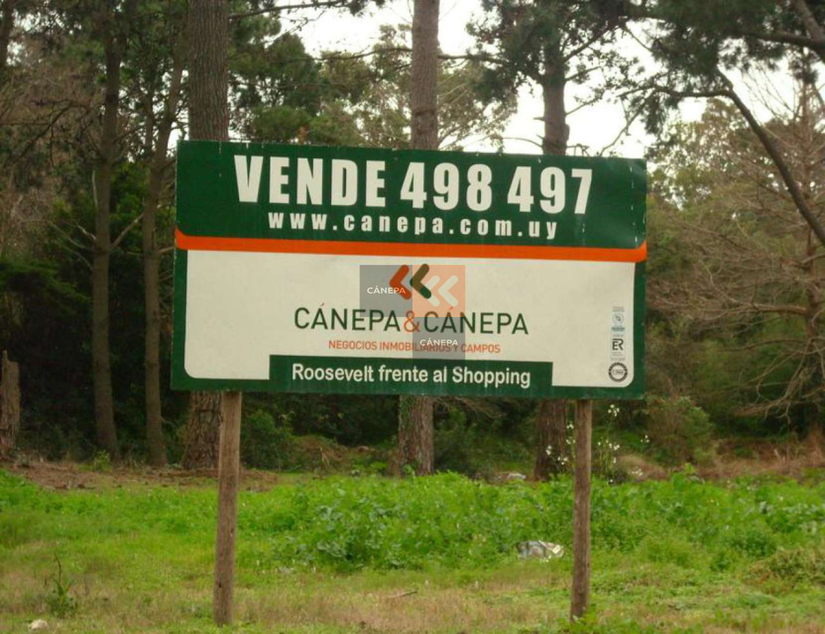Golf - GoPunta - Portal Inmobiliario de Punta del Este - Maldonado