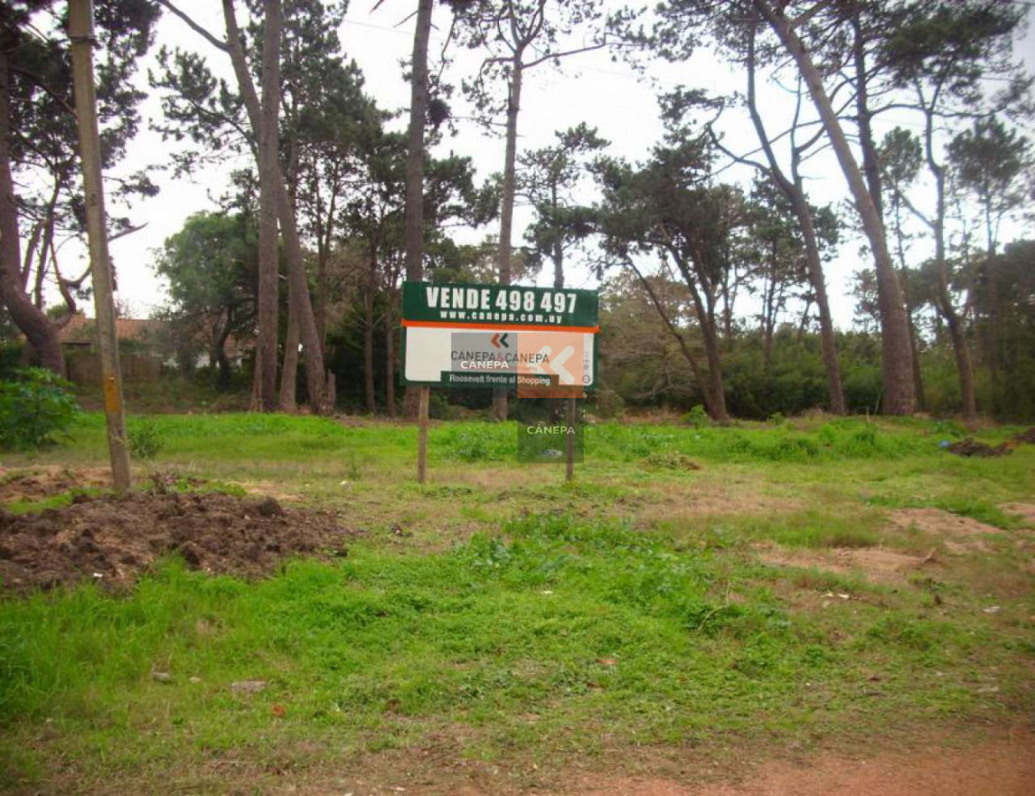 Golf - GoPunta - Portal Inmobiliario de Punta del Este - Maldonado