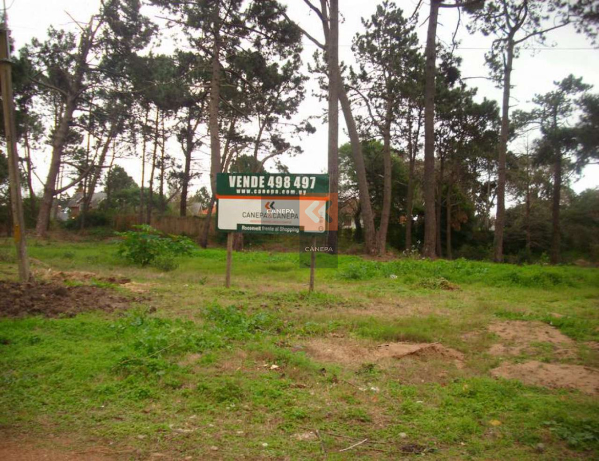 Golf - GoPunta - Portal Inmobiliario de Punta del Este - Maldonado