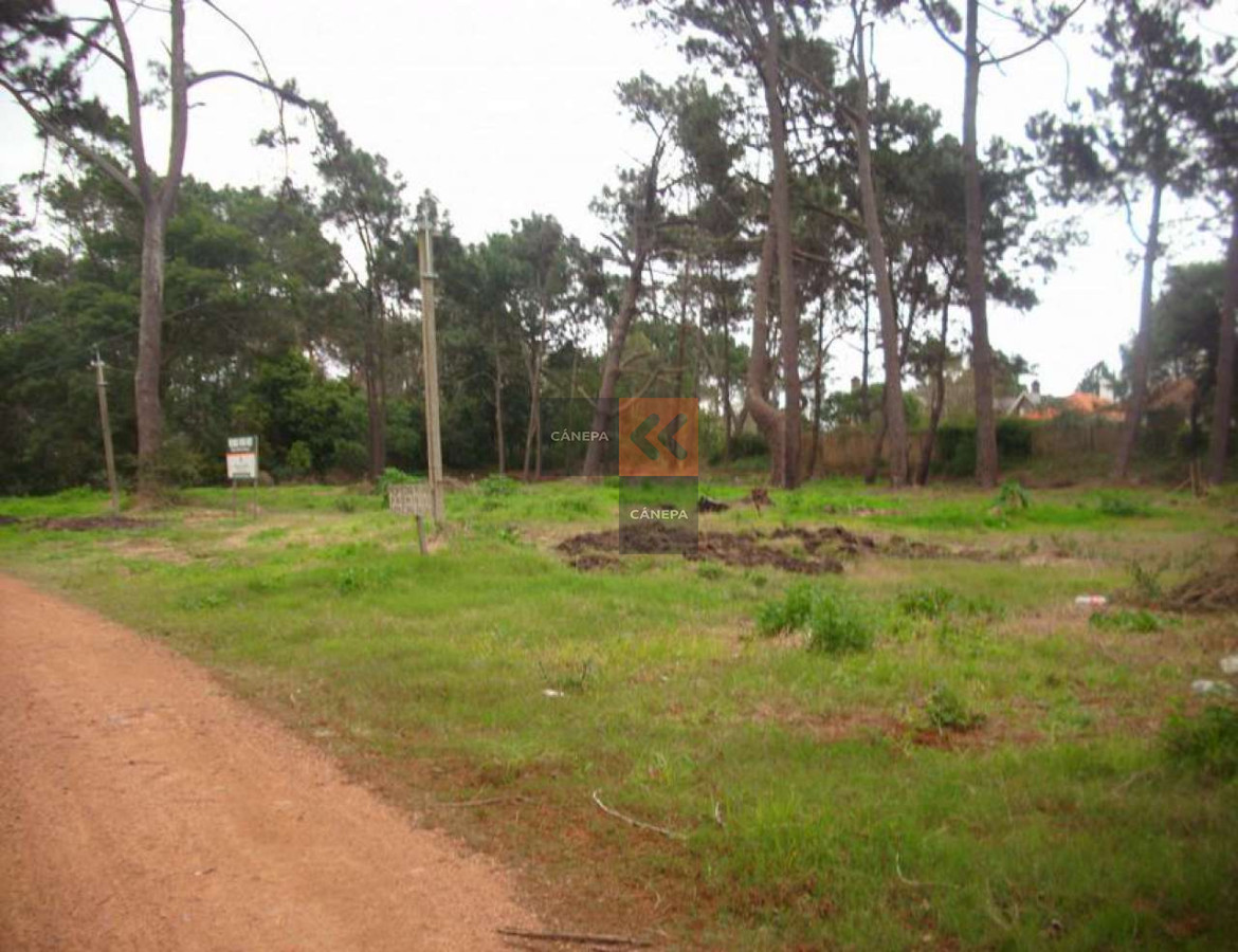 Golf - GoPunta - Portal Inmobiliario de Punta del Este - Maldonado