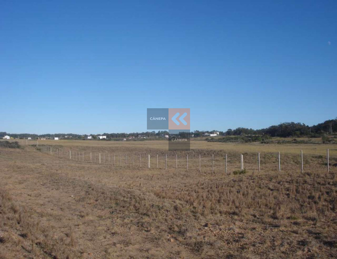 Zona Rural - GoPunta - Portal Inmobiliario de Punta del Este - Maldonado