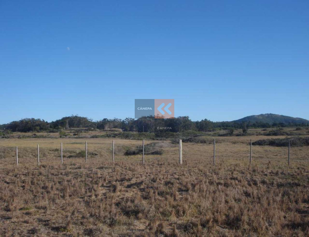 Zona Rural - GoPunta - Portal Inmobiliario de Punta del Este - Maldonado