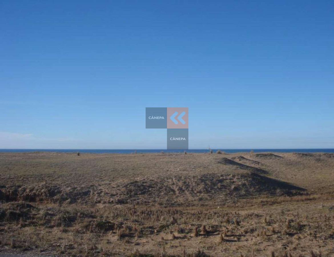Zona Rural - GoPunta - Portal Inmobiliario de Punta del Este - Maldonado