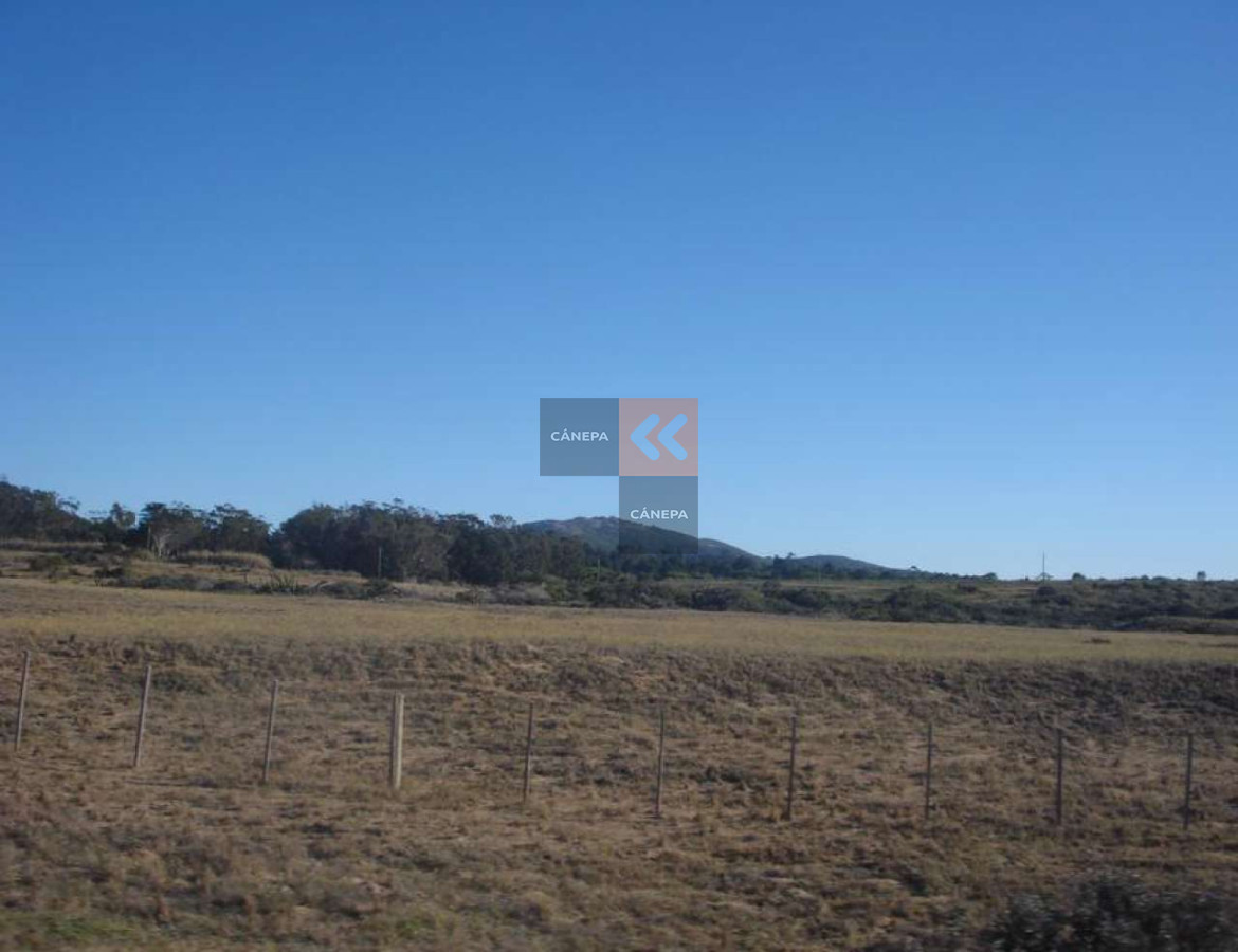 Zona Rural - GoPunta - Portal Inmobiliario de Punta del Este - Maldonado