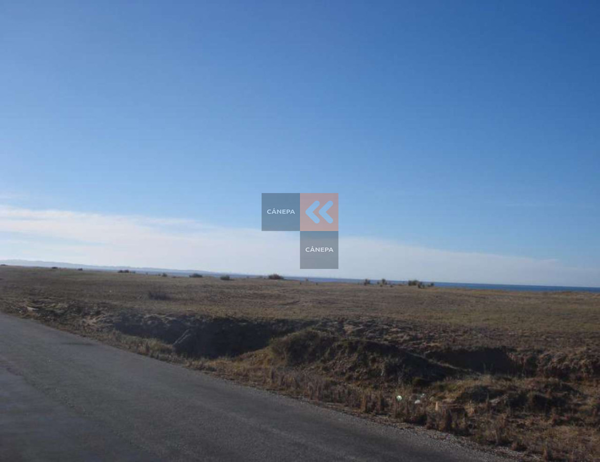Zona Rural - GoPunta - Portal Inmobiliario de Punta del Este - Maldonado
