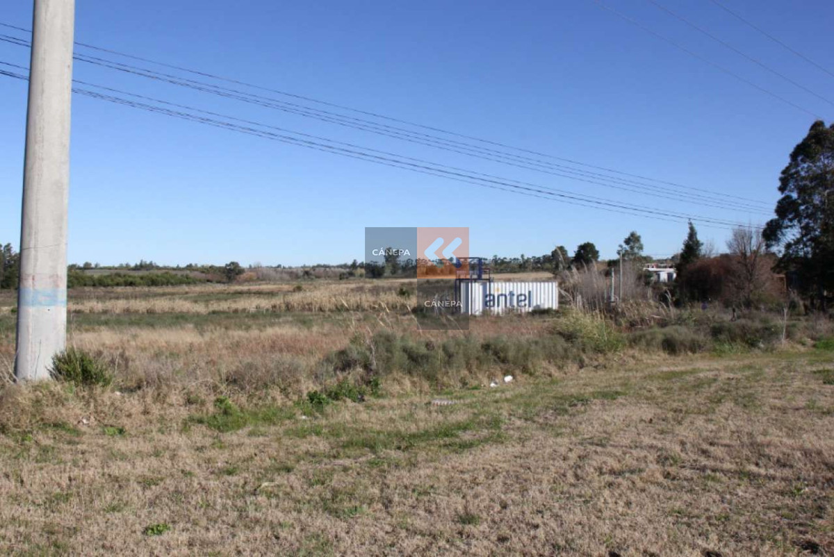 Rural - GoPunta - Portal Inmobiliario de Punta del Este - Maldonado