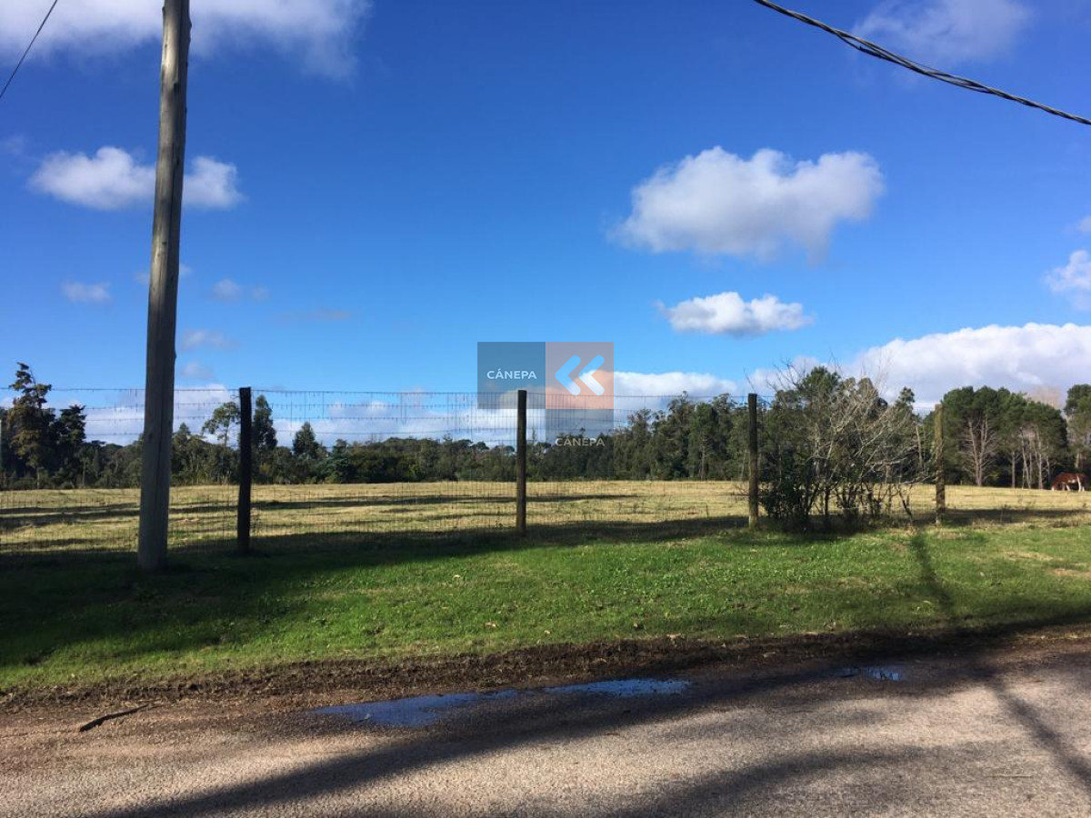 Rincón del Indio - GoPunta - Portal Inmobiliario de Punta del Este - Maldonado