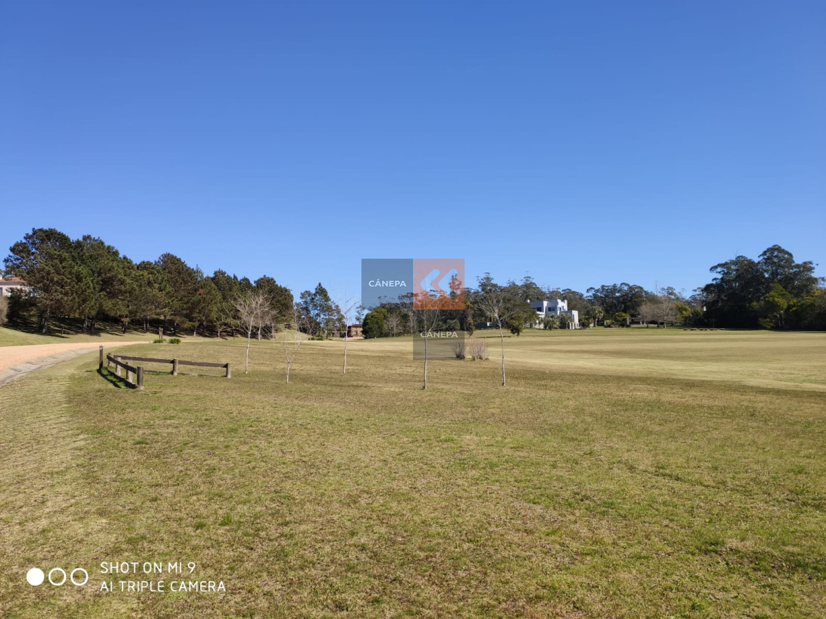 Balneario Buenos Aires - GoPunta - Portal Inmobiliario de Punta del Este - Maldonado
