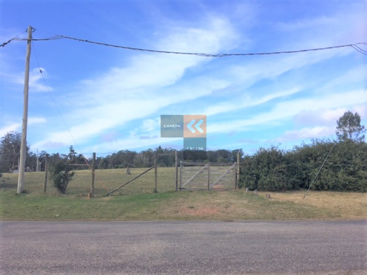 Rincón del Indio - GoPunta - Portal Inmobiliario de Punta del Este - Maldonado