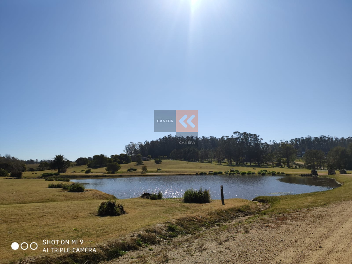 Balneario Buenos Aires - GoPunta - Portal Inmobiliario de Punta del Este - Maldonado