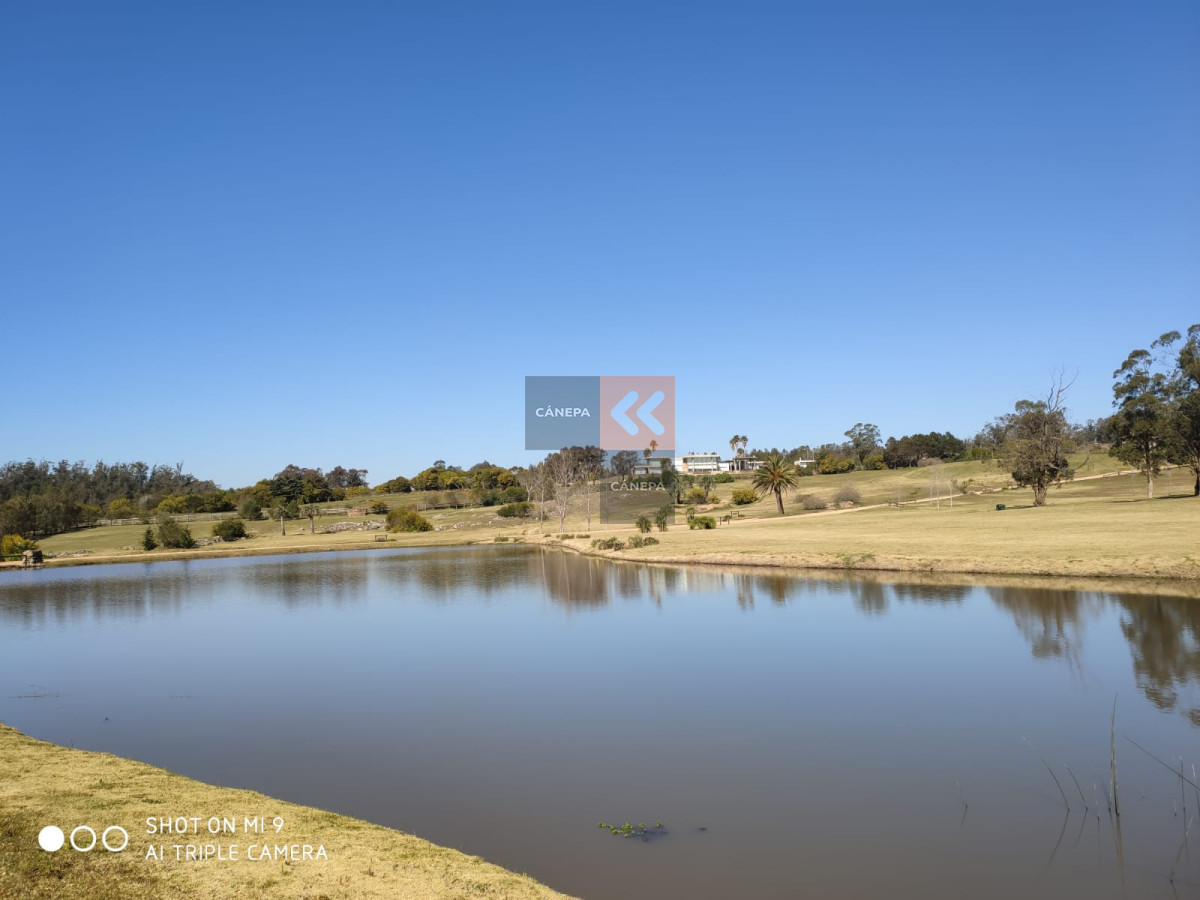 Balneario Buenos Aires - GoPunta - Portal Inmobiliario de Punta del Este - Maldonado