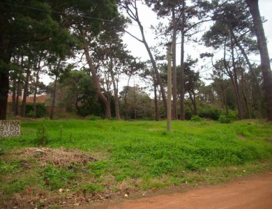 Terreno en zona del Golf