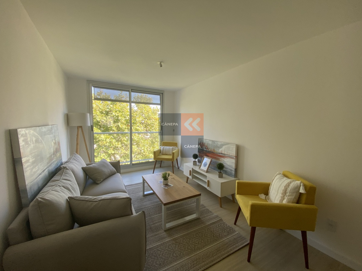 Barrio Sur - GoPunta - Portal Inmobiliario de Punta del Este - Maldonado