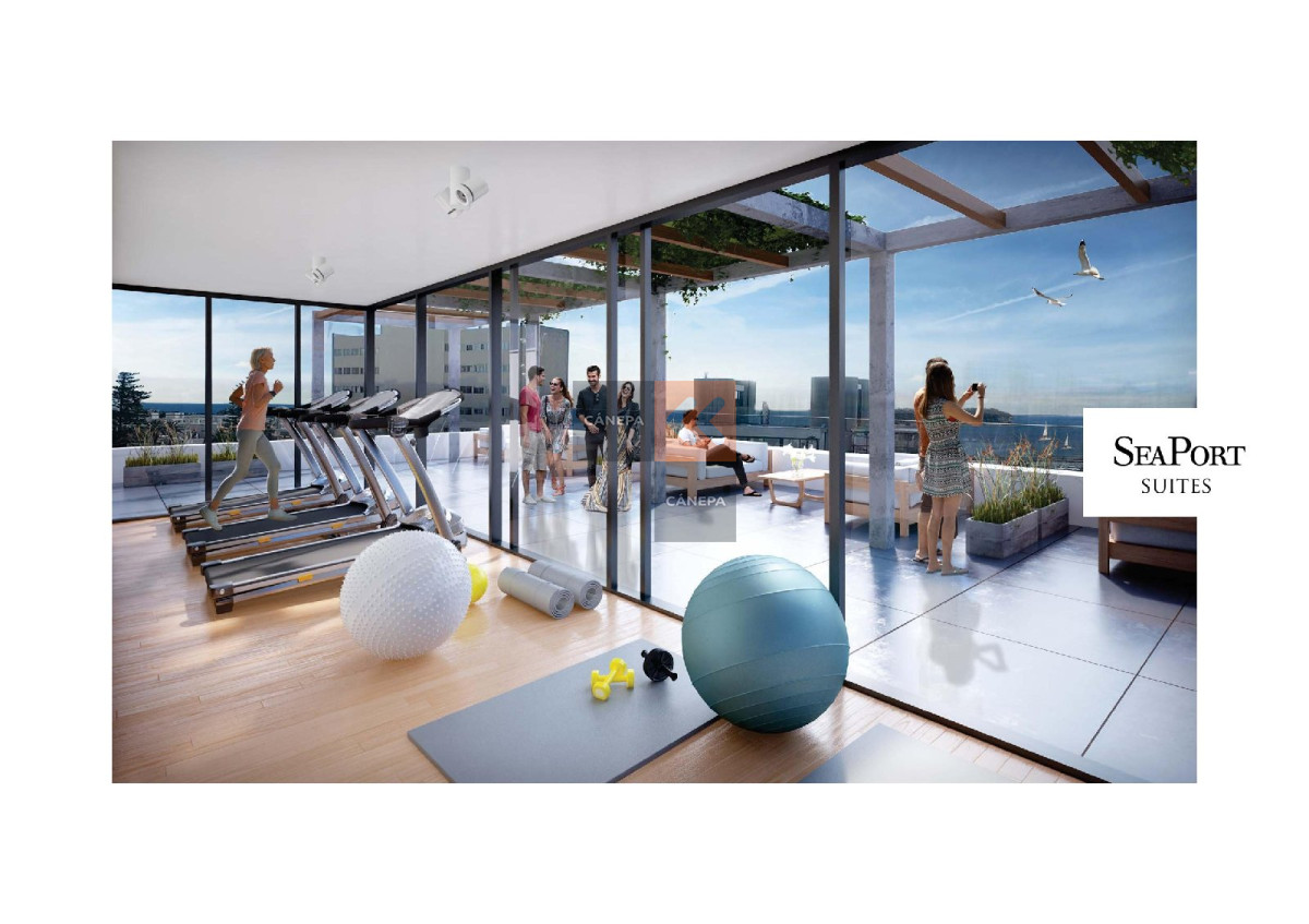 gimnasio