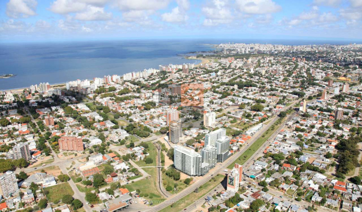Vista aerea