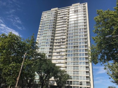 Estrellas-del-Sur-T25