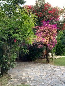 Alquiler temporada Cantegril
