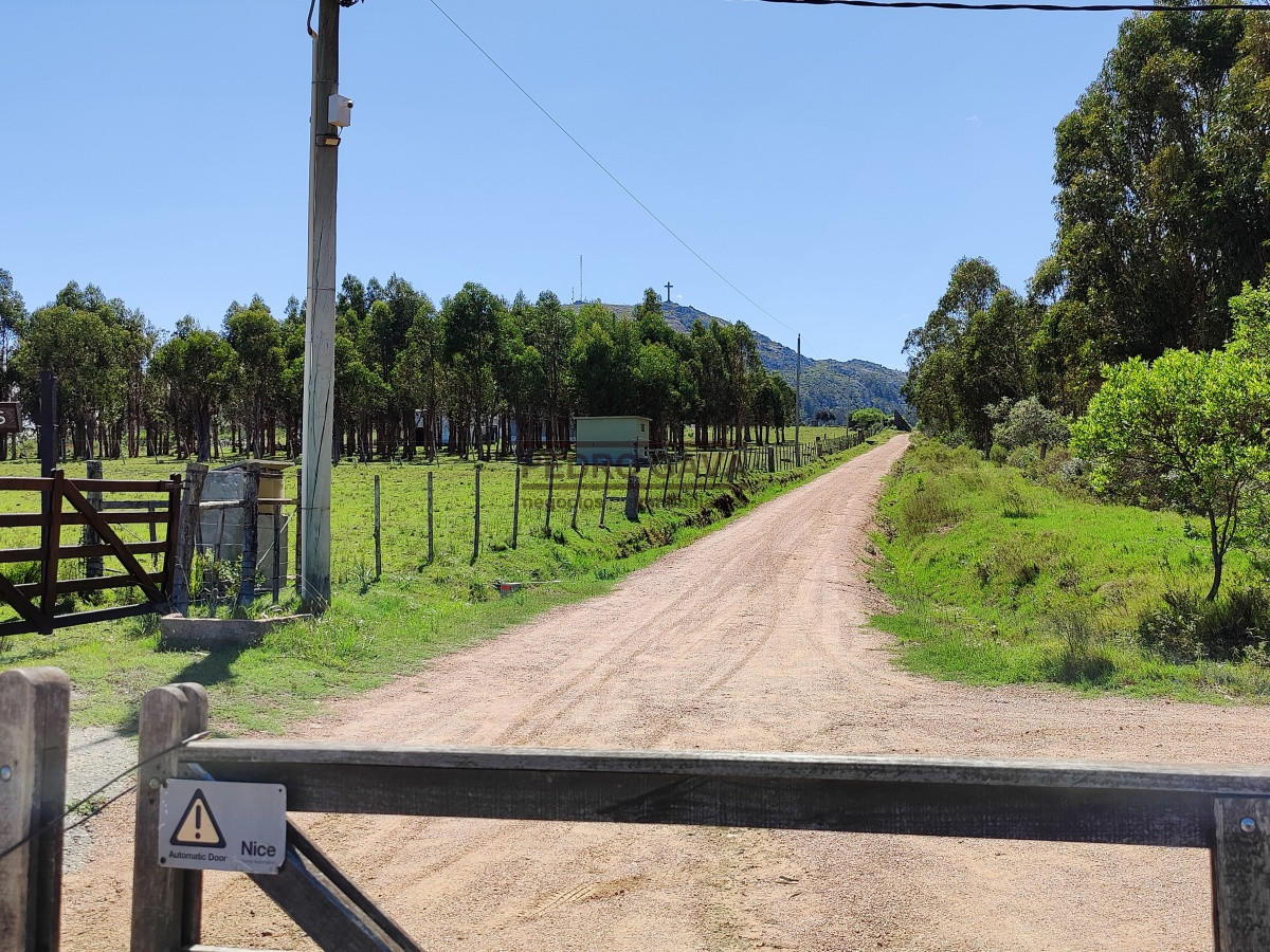 Zona Rural - GoPunta - Portal Inmobiliario de Punta del Este - Maldonado