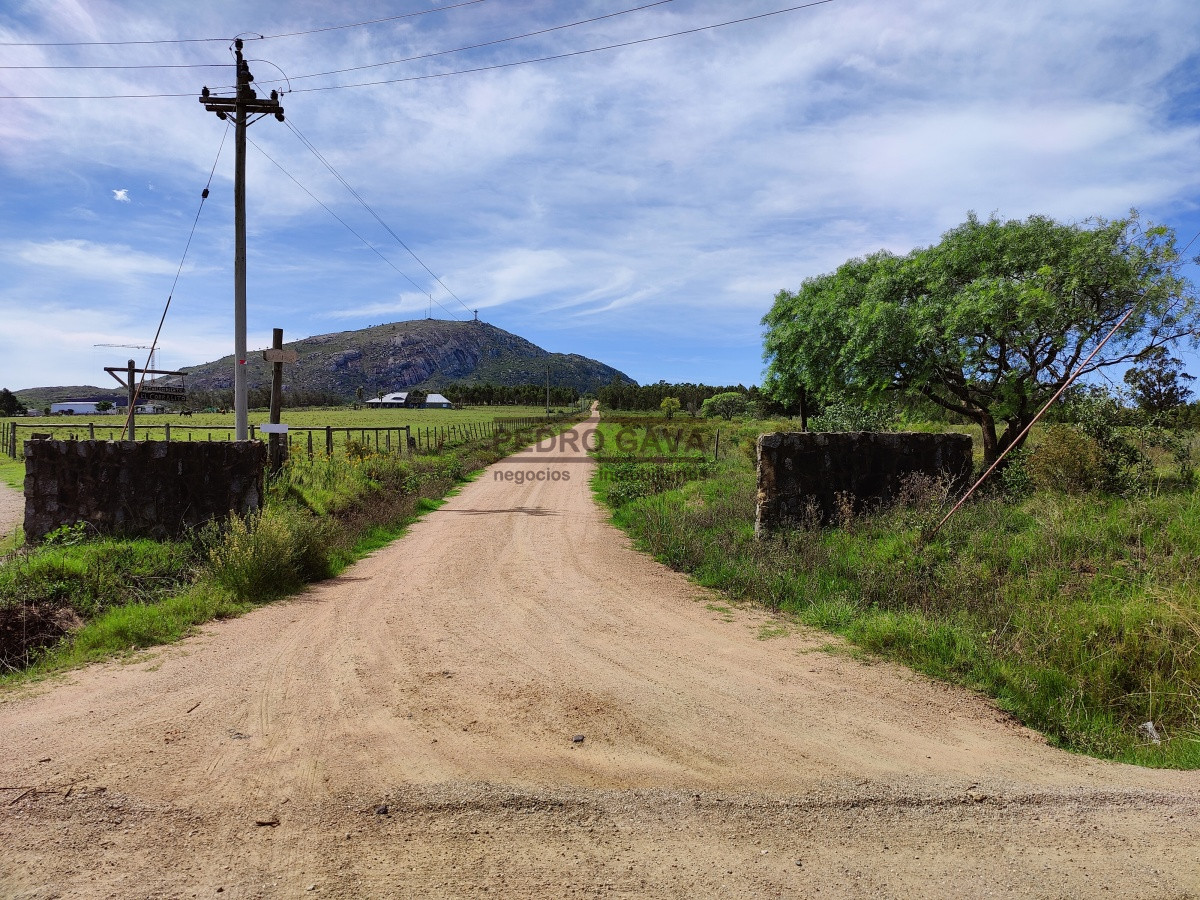 Zona Rural - GoPunta - Portal Inmobiliario de Punta del Este - Maldonado