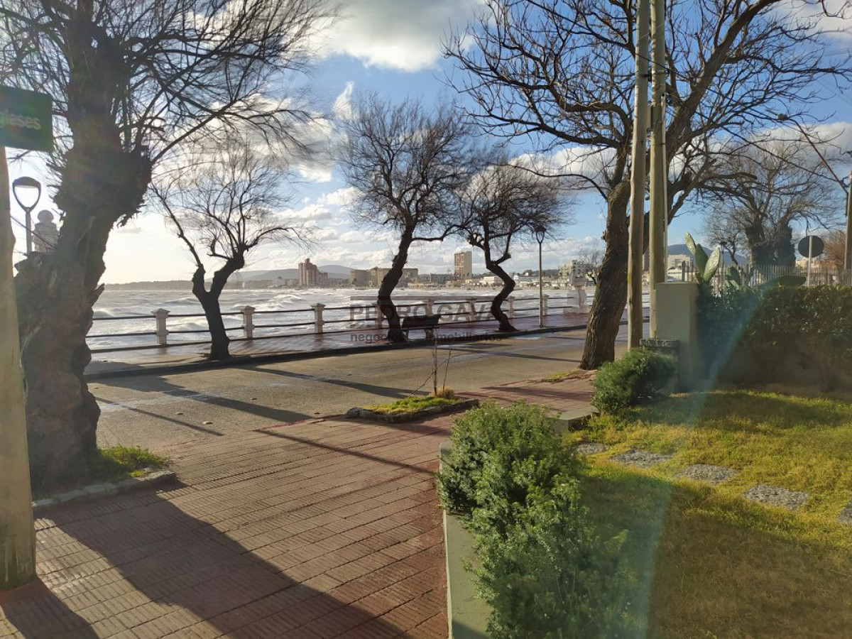 Rinconada - GoPunta - Portal Inmobiliario de Punta del Este - Maldonado