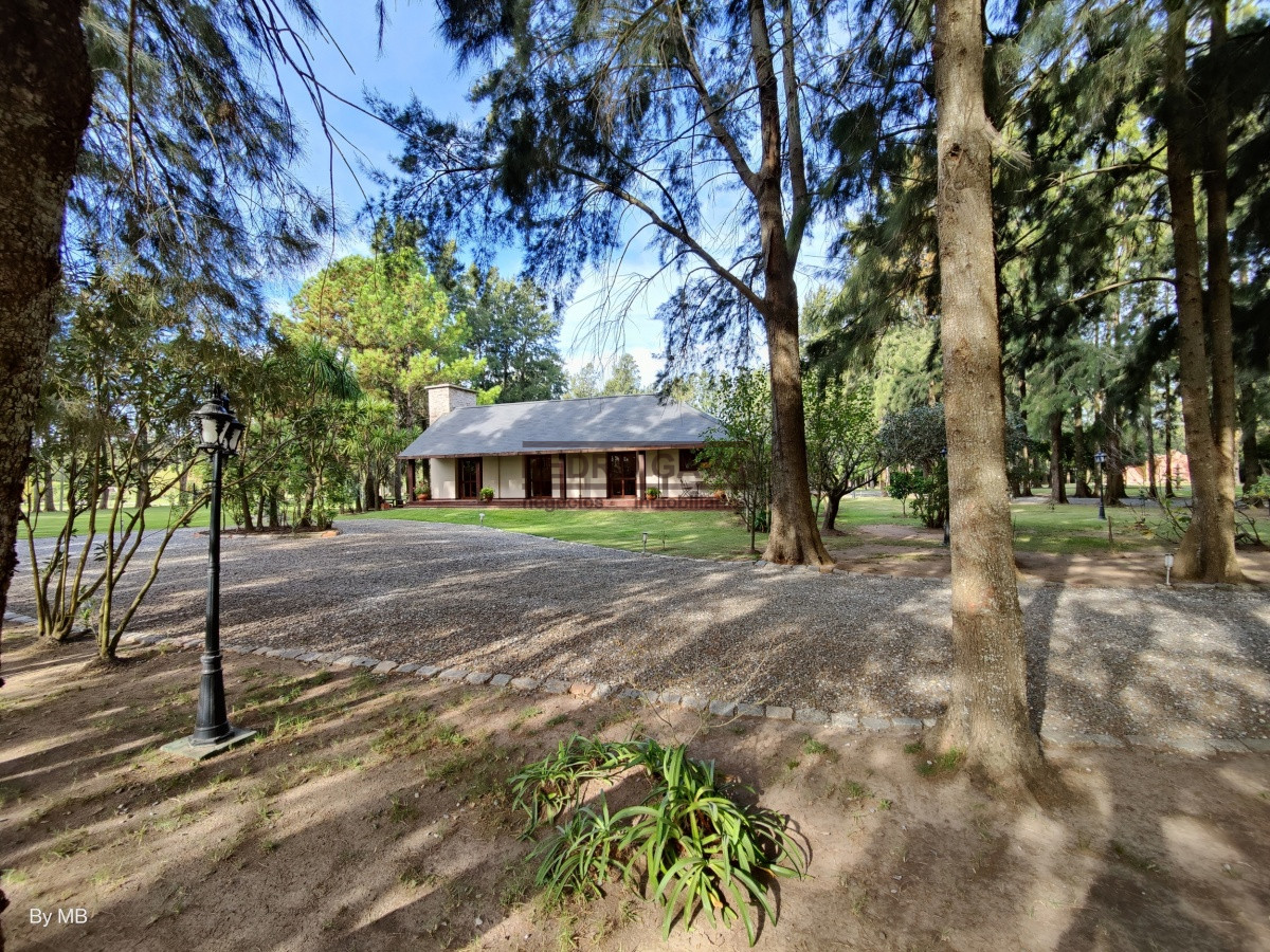 Playa Grande - GoPunta - Portal Inmobiliario de Punta del Este - Maldonado