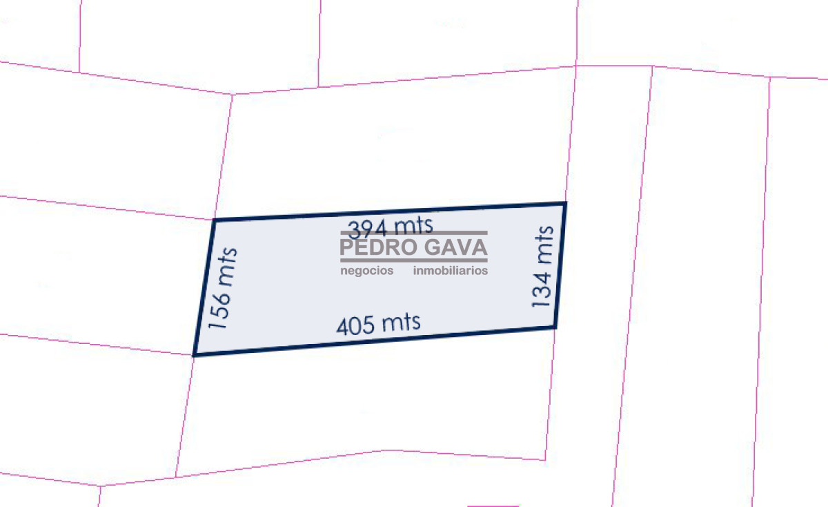La Pataia - GoPunta - Portal Inmobiliario de Punta del Este - Maldonado
