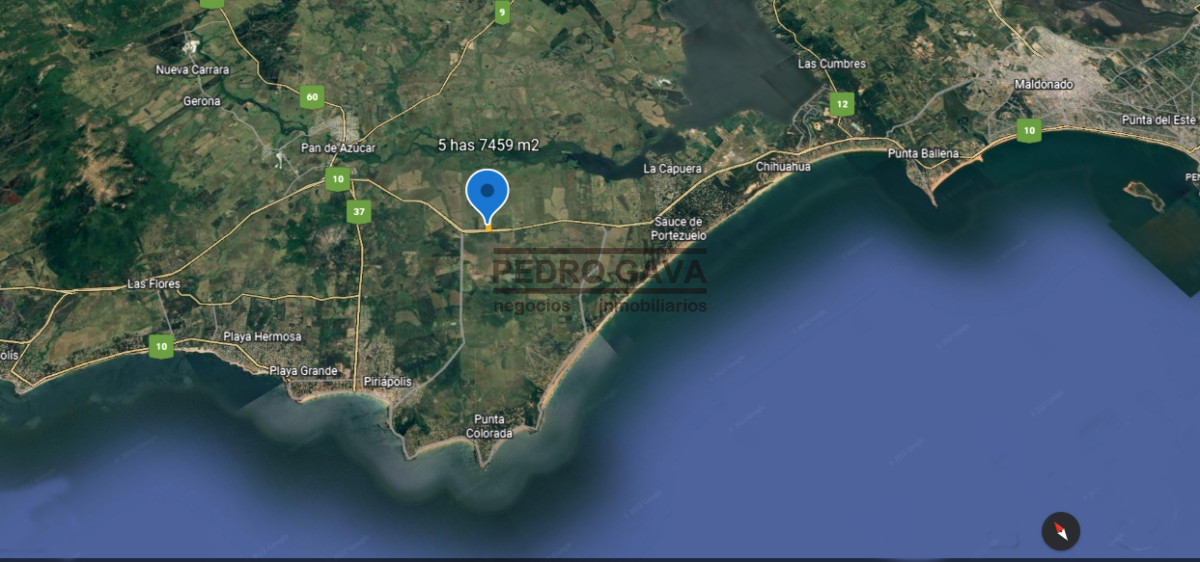 Zona Rural - GoPunta - Portal Inmobiliario de Punta del Este - Maldonado