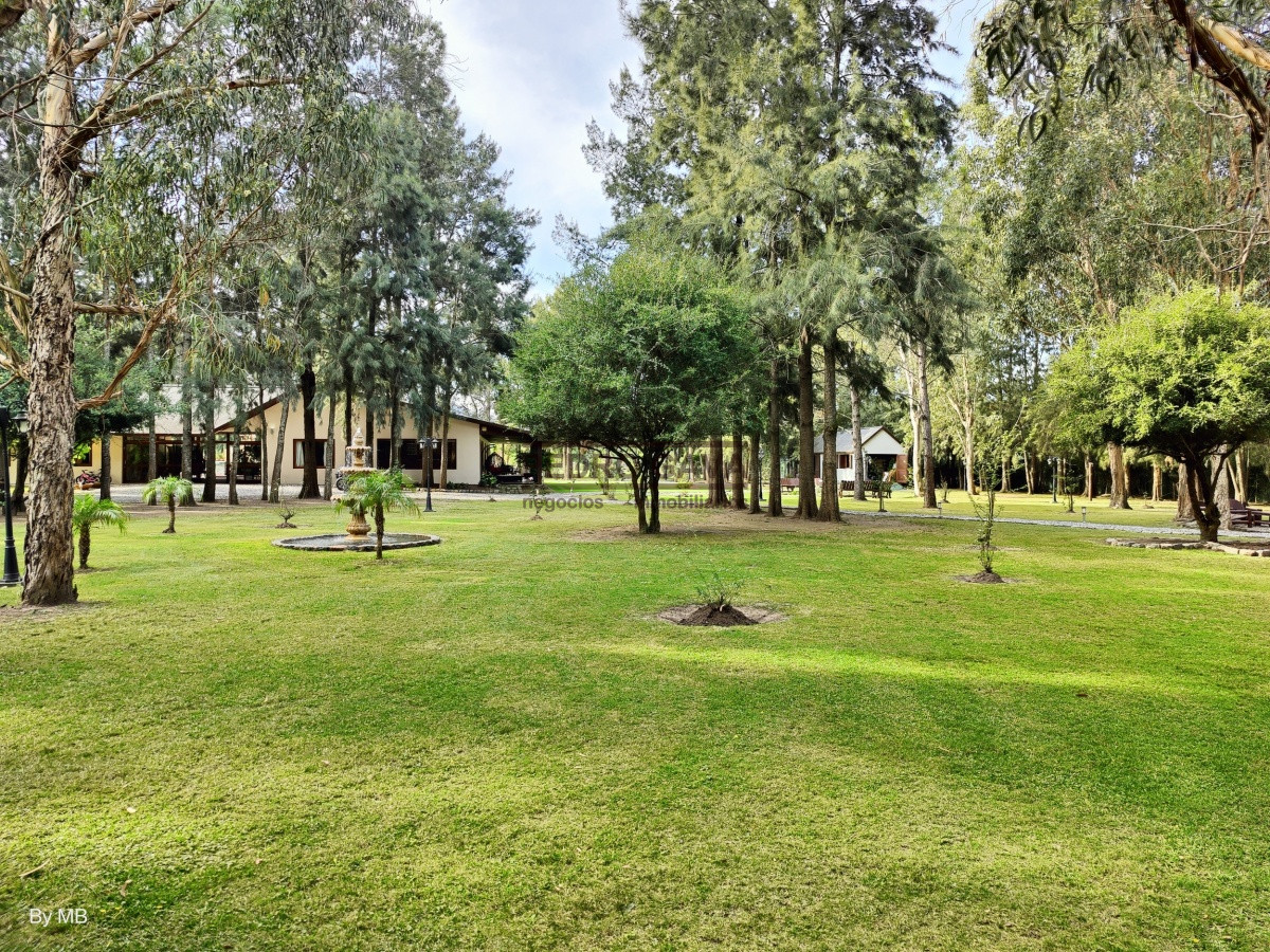 Playa Grande - GoPunta - Portal Inmobiliario de Punta del Este - Maldonado