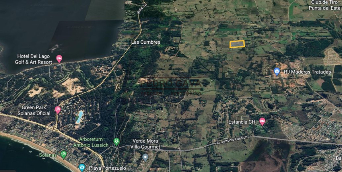 La Pataia - GoPunta - Portal Inmobiliario de Punta del Este - Maldonado