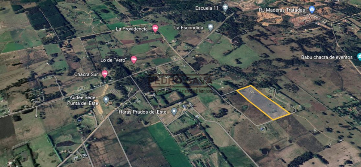 La Pataia - GoPunta - Portal Inmobiliario de Punta del Este - Maldonado