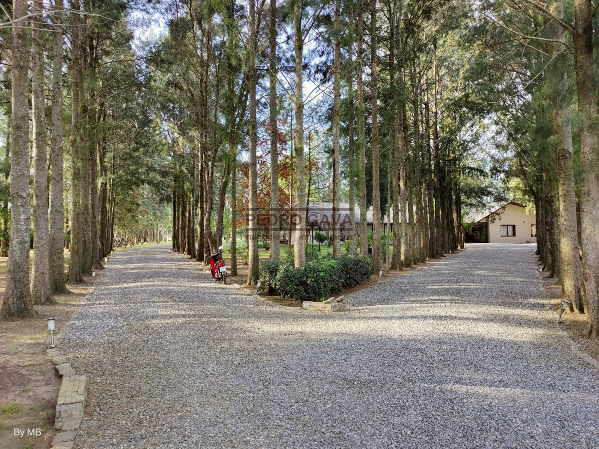 Playa Grande - GoPunta - Portal Inmobiliario de Punta del Este - Maldonado