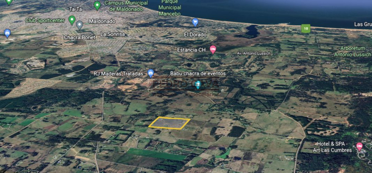 La Pataia - GoPunta - Portal Inmobiliario de Punta del Este - Maldonado