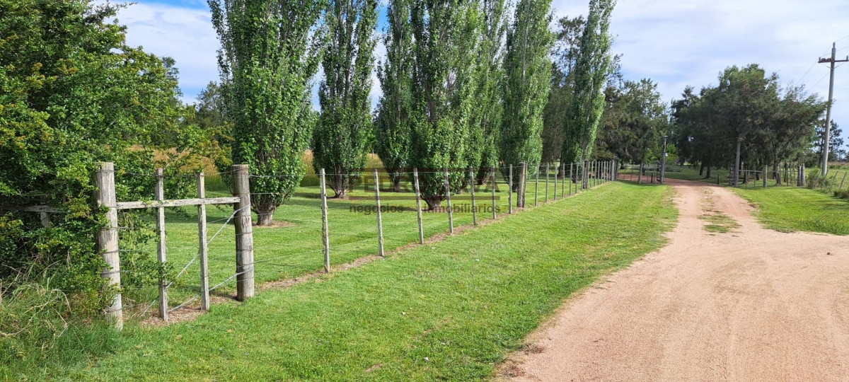 La Pataia - GoPunta - Portal Inmobiliario de Punta del Este - Maldonado