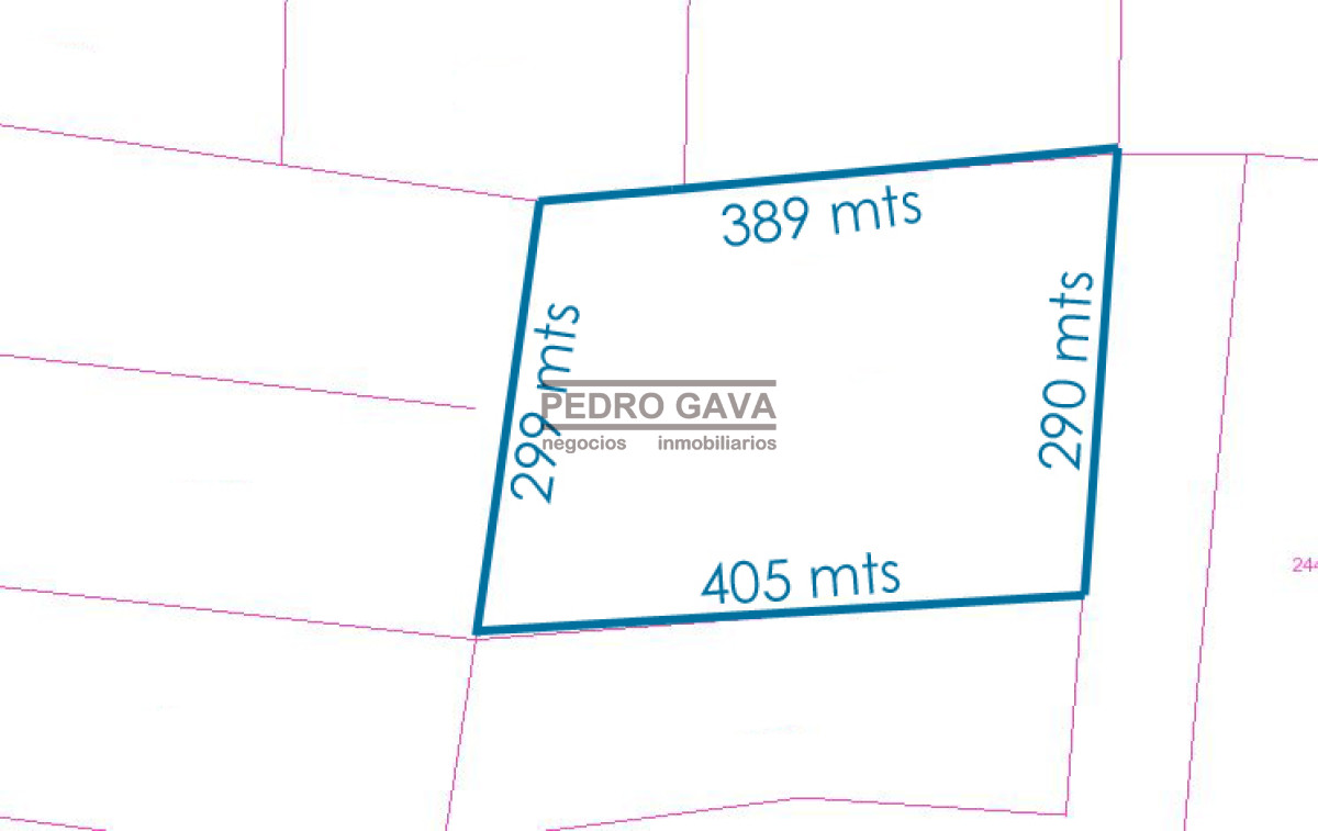 La Pataia - GoPunta - Portal Inmobiliario de Punta del Este - Maldonado