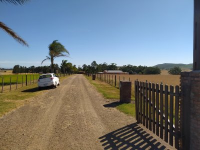  Chacra en alquiler anual  36 hectáreas sobre Ruta Interbalnearia, a minutos de Piriápolis