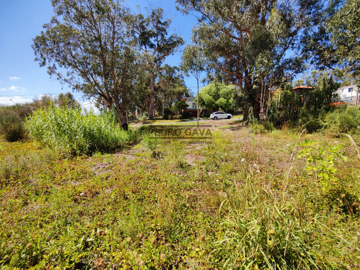 Cerro San Antonio - GoPunta - Portal Inmobiliario de Punta del Este - Maldonado