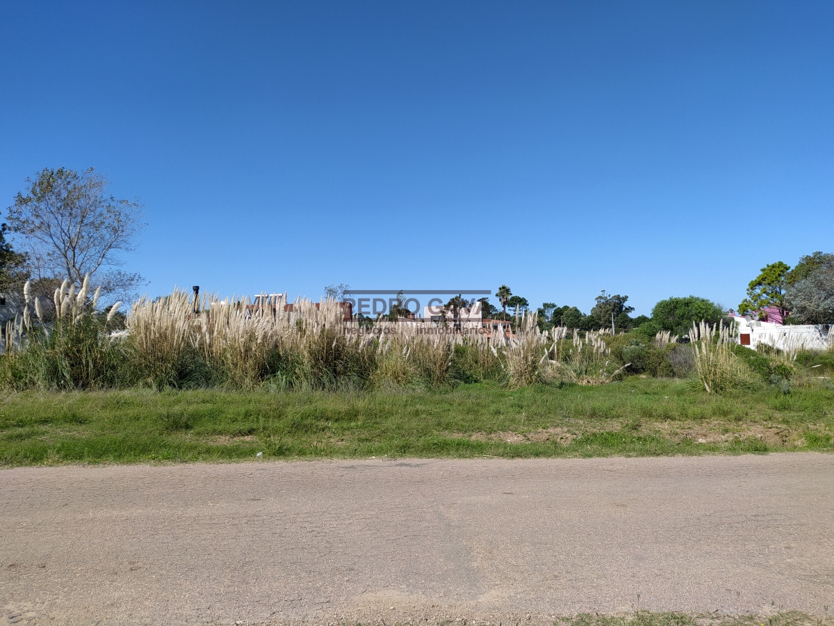 Playa Hermosa - GoPunta - Portal Inmobiliario de Punta del Este - Maldonado