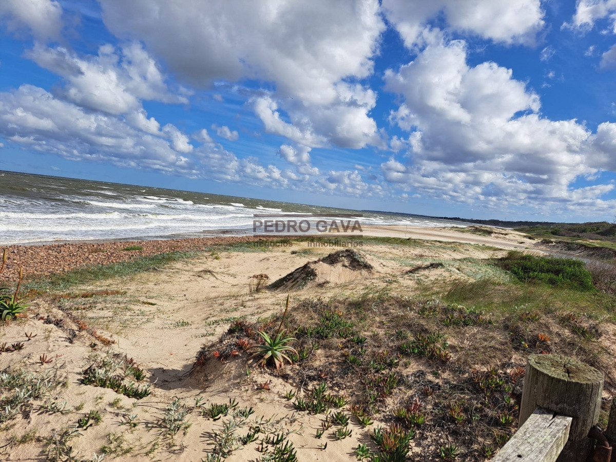 Las Flores - GoPunta - Portal Inmobiliario de Punta del Este - Maldonado