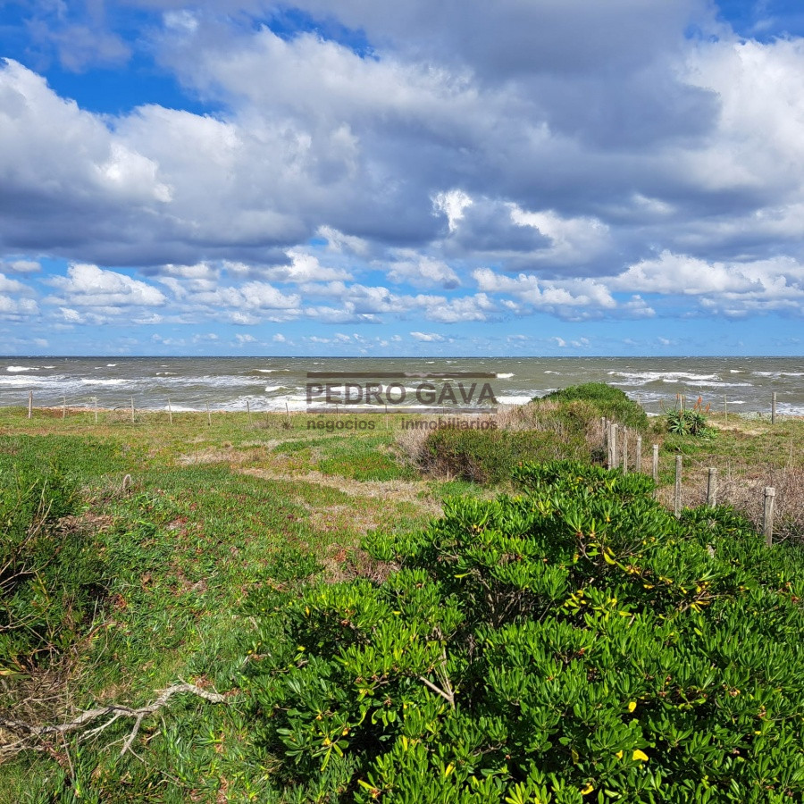 Las Flores - GoPunta - Portal Inmobiliario de Punta del Este - Maldonado