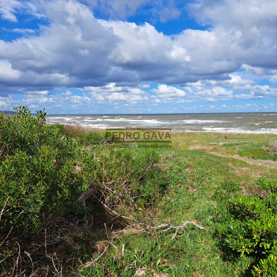 Las Flores - GoPunta - Portal Inmobiliario de Punta del Este - Maldonado