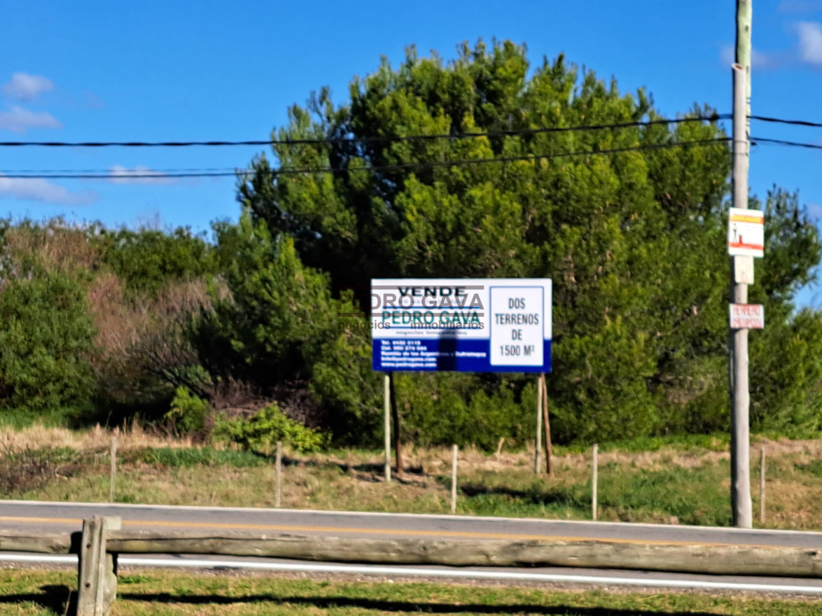 Las Flores - GoPunta - Portal Inmobiliario de Punta del Este - Maldonado