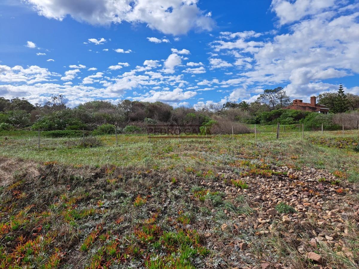 Las Flores - GoPunta - Portal Inmobiliario de Punta del Este - Maldonado