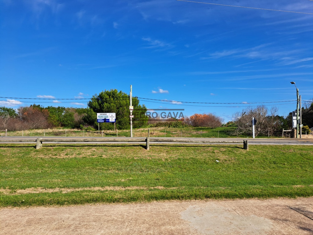 Las Flores - GoPunta - Portal Inmobiliario de Punta del Este - Maldonado