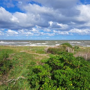 Gran lote con 56 metros de frente al mar en Las Flores