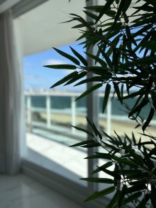 En venta y alquiler anual departamento de 3 suites primera linea