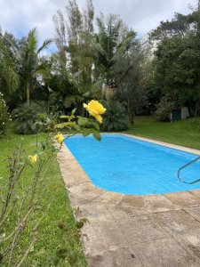 En venta y alquiler anual casa de 4 dormitorios más dependencia de servicio Punta del Este 