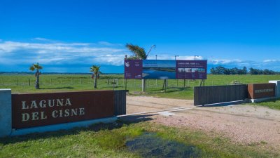 En venta chacras de 3 hectáreas a tan solo 20 minutos del Aeropuerto de Carrasco 