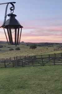 En venta campo de 276 has Sierra de Los Caracoles, Maldonado 
